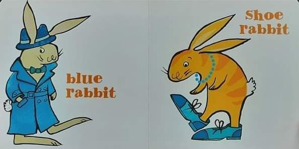 Board Book** 🍅🍓this rabbit,that rabbit by jane porter