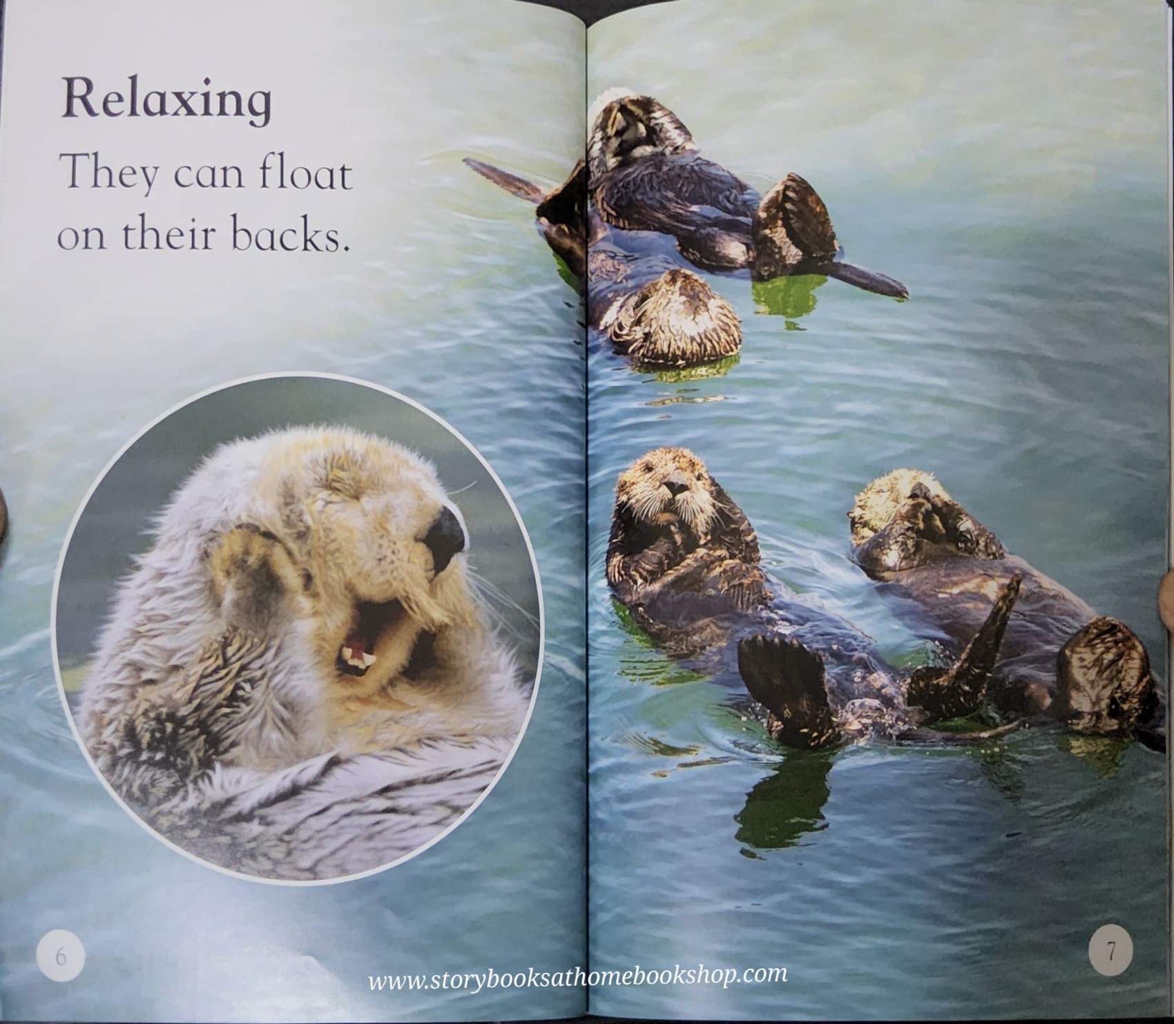 หนังสือนิทานปกอ่อน** 🍅🍓DK LEVEL1:SEA OTTERS