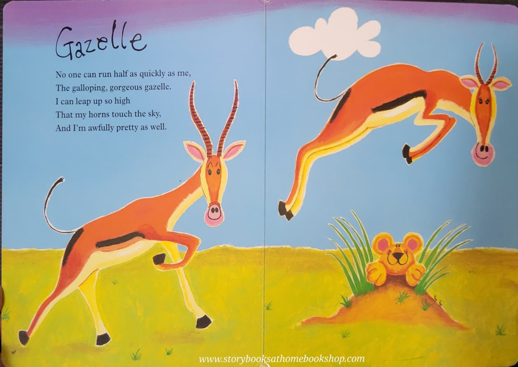 BOARD BOOK** ð
ðRUMBLE IN THE JUNGLE