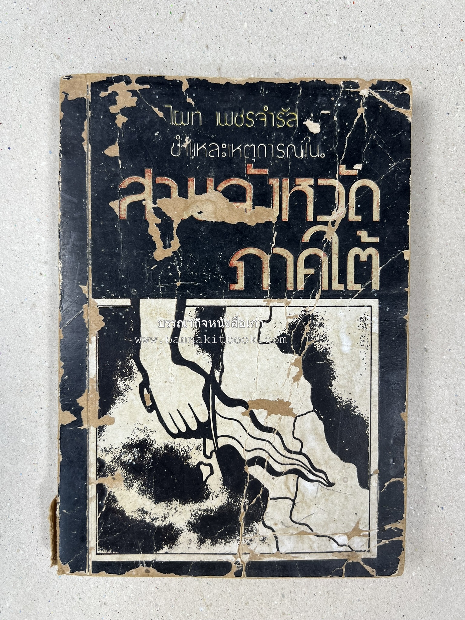 ชำแหละเหตุการณ์สามจังหวัดภาคใต้ โดย : ไผท เพชรจำรัส.