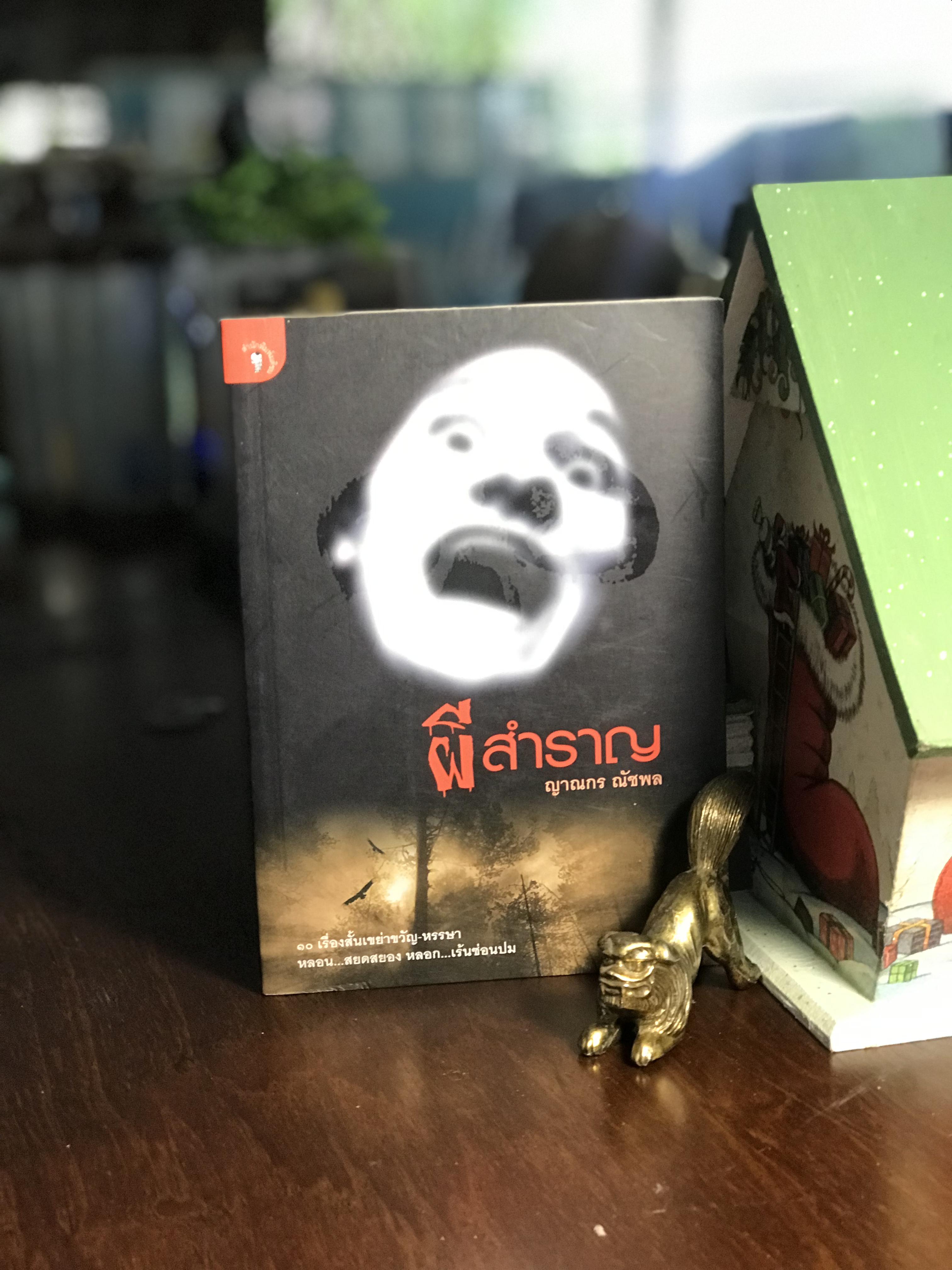 ผีสำราญ ผู้เขียน ญาณกร ณัชพล สำนักพิมพ์มติชน -WA4-