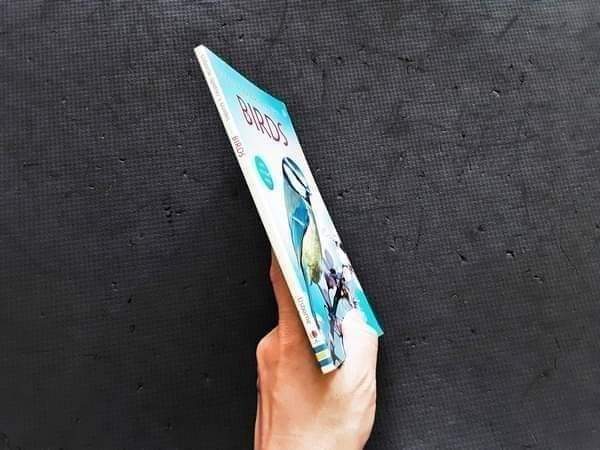 Knowledge Book ð
ð
Usborne Spotter's Guide BIRDS