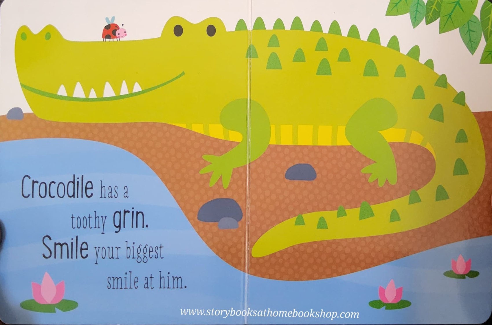 BOARD BOOK ** 🍅🍓BABY STEPS PEEKABOO!