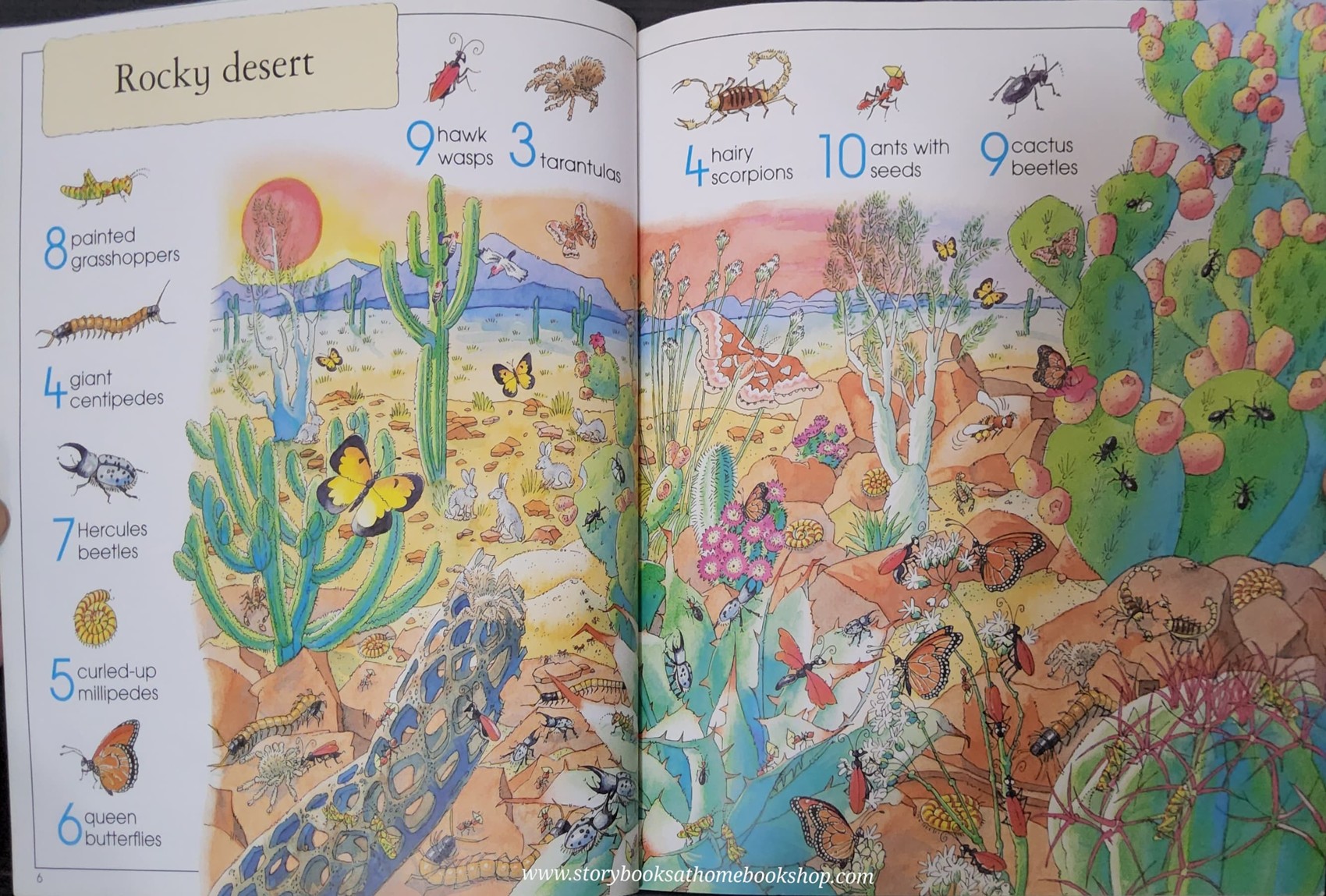 PUZZLE BOOK** ♥️USBORNE 1001 BUGS TO SPOT