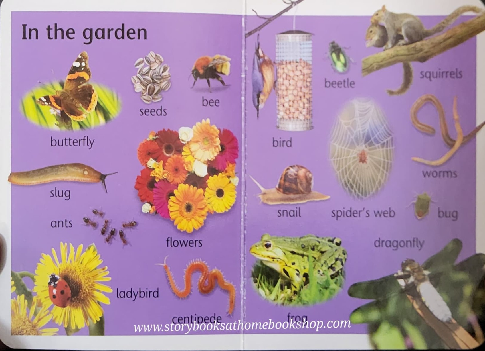 Board Book** 🍅🍓NATURE