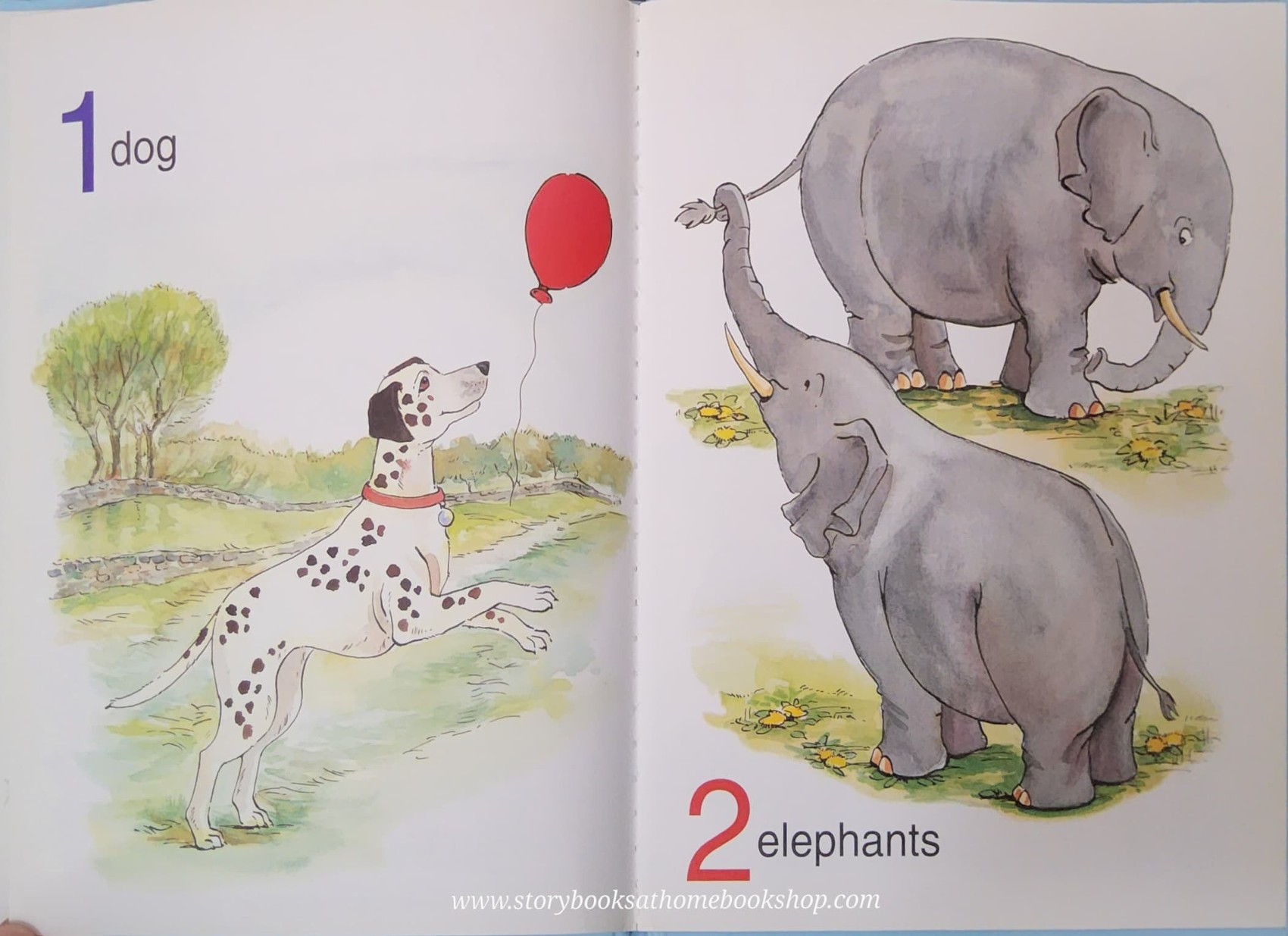 หนังสือนิทานปกแข็ง** 🍅MY ANIMAL COUNTING