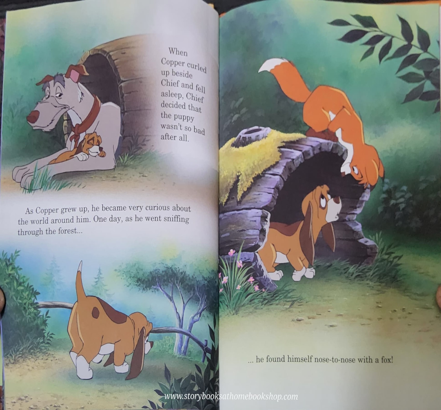หนังสือนิทานปกแข็ง** 🍅🍅DISNEY THE FOX AND THE HOUND
