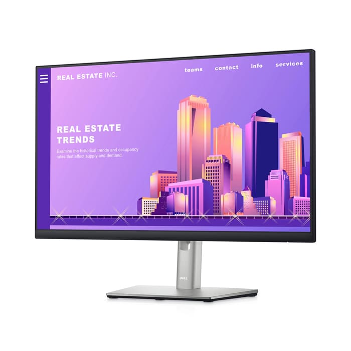 Dell P2422H 23.8" IPS Monitor 60Hz
