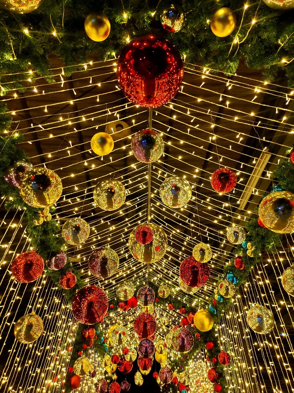 เราลองเลือกต้นคริสต์มาสปลอมให้คุณไหม