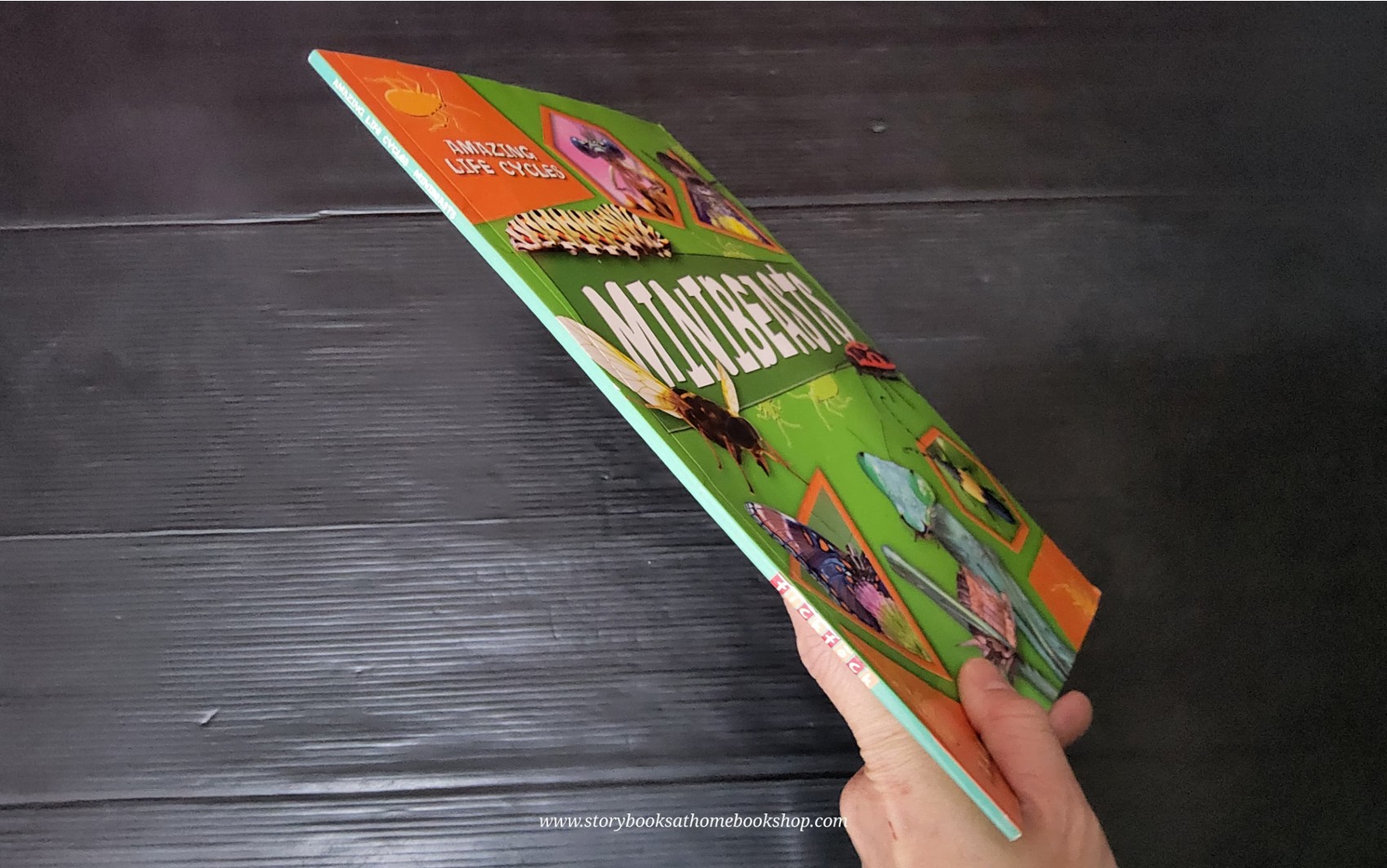 KNOWLEDGE BOOK** ð
ðAMAZING LIFE CYCLES:MINIBEASTS