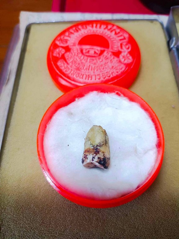 พระทันตธาตุ ครูบาเจ้าเลย วัดป่าบงงาม ต.โป่งงาม อ.แม่สาย จ.เชียงราย เดิมเป็นขอคุณลุงสงวน เคยรับใช้ครูบาเจ้าเลย ขับรถรับส่งครูบาเจ้าไปโรงพยาบาลและสถาน ที่ต่าง ๆ คุณสงวนอยู่บ้านป่าเหมือด อ.แม่สาย จ.เชียงราย ปัจจุบันคุณลุงสงวนเสียชีวิตแล้วตั้งแต่ปี 2558