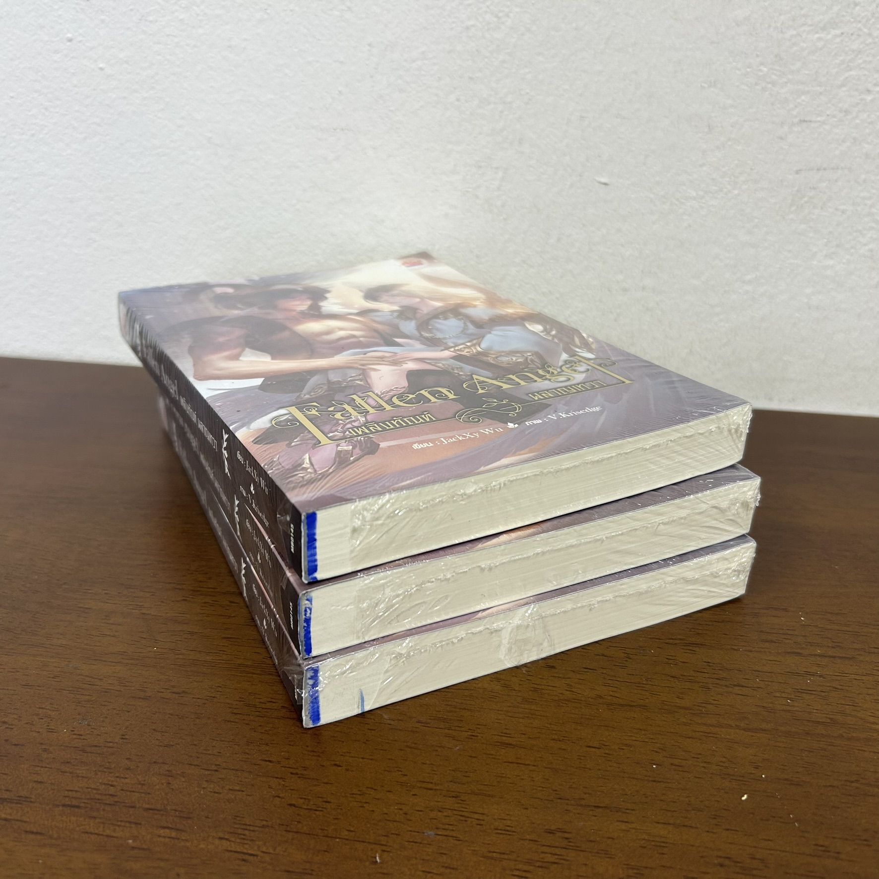 [YAOI] Fallen Angel เพลิงทัณฑ์ ผลาญเทวา เล่มเดียวจบ ... JackXy Wu (มือหนึ่งขีดสัน) นิยายวาย มีดี Meedee