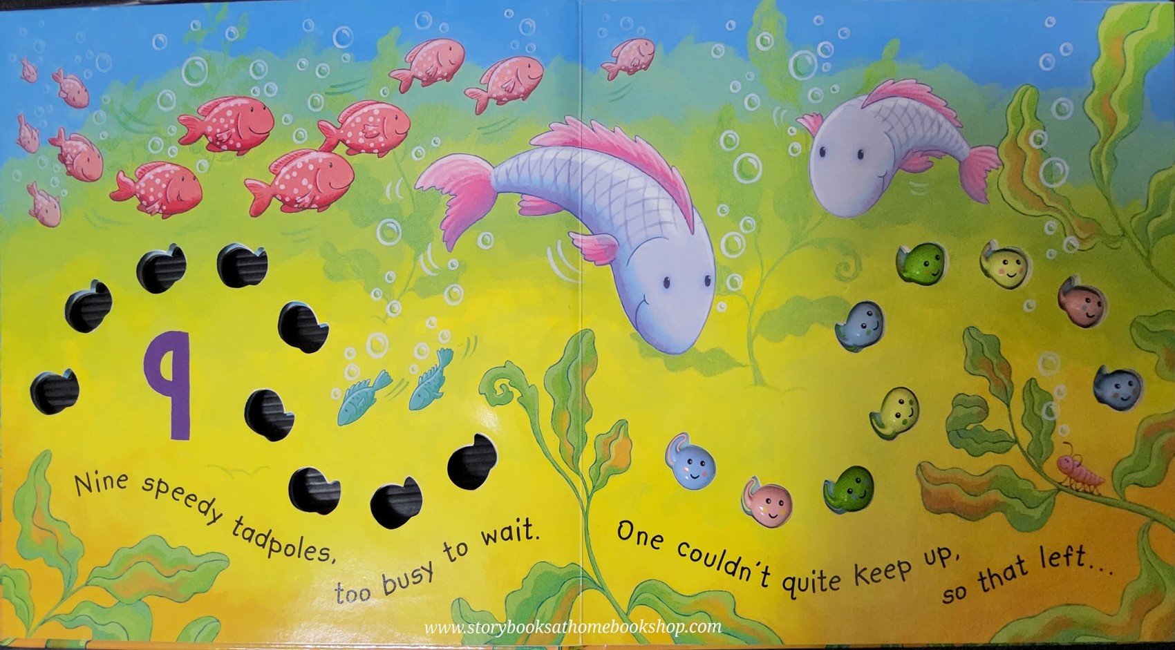 TOUCH AND FEEL POP UP BOOK ** 🍅🍓TEN TINY TADPOLES