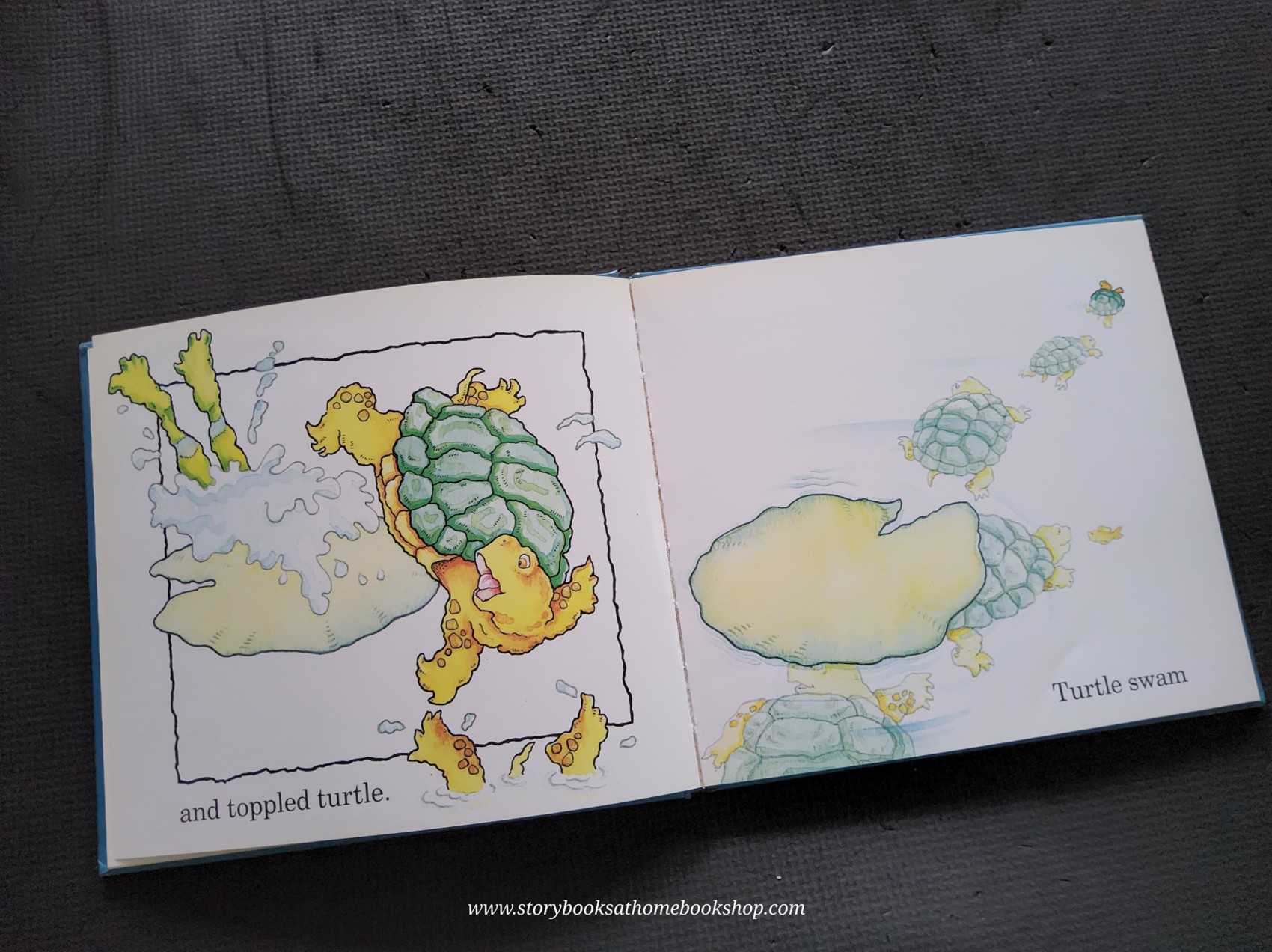 หนังสือนิทานปกแข็ง** 🍓🍓LOOK OUT,BIRD