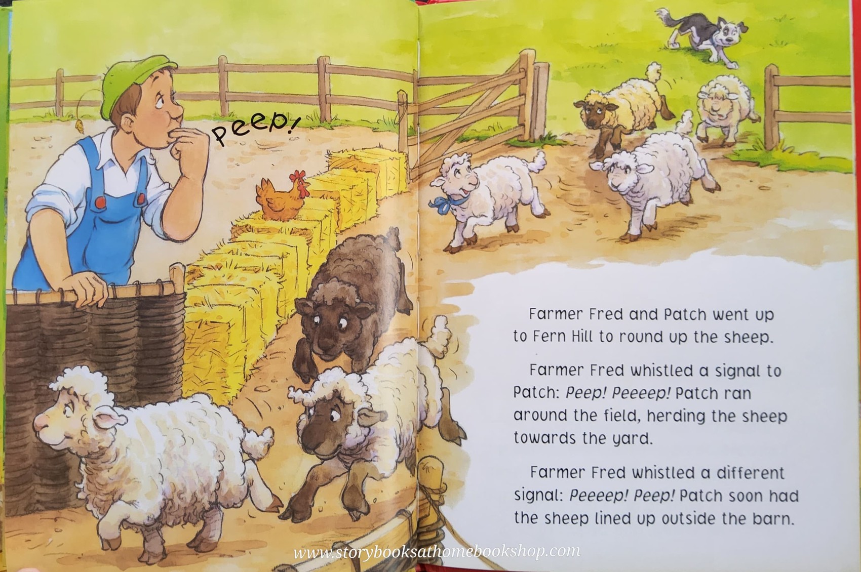 หนังสือนิทานปกแข็ง ** ♥️FARMER FRED: TICKLY SHEEP ♥️ตำหนิสันปกคะ