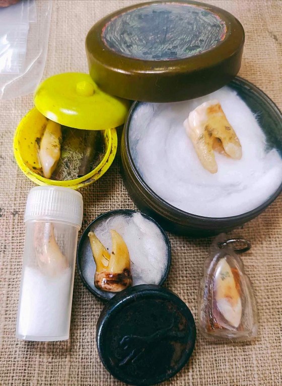 พระทันตธาตุ ครูบาติ๊บ วัดท่าวังพร้าว อ.สันป่าตอง จ.เชียงใหม่ ได้มาจากกำนันคำ อดีตกำนันบ้านปากกอง อ.สารภี จ.เชียงใหม่ ปัจจุบันอายุ 86 ปี (บันทึก พ.ศ.2566) กำนันคำได้พระทันตธาตุครูบาติ๊บ ได้มาเมื่อปี พ.ศ.2549 ได้มาจากลูกศิษย์ครูบาติ๊บ ชื่อลุงวิโรจน์