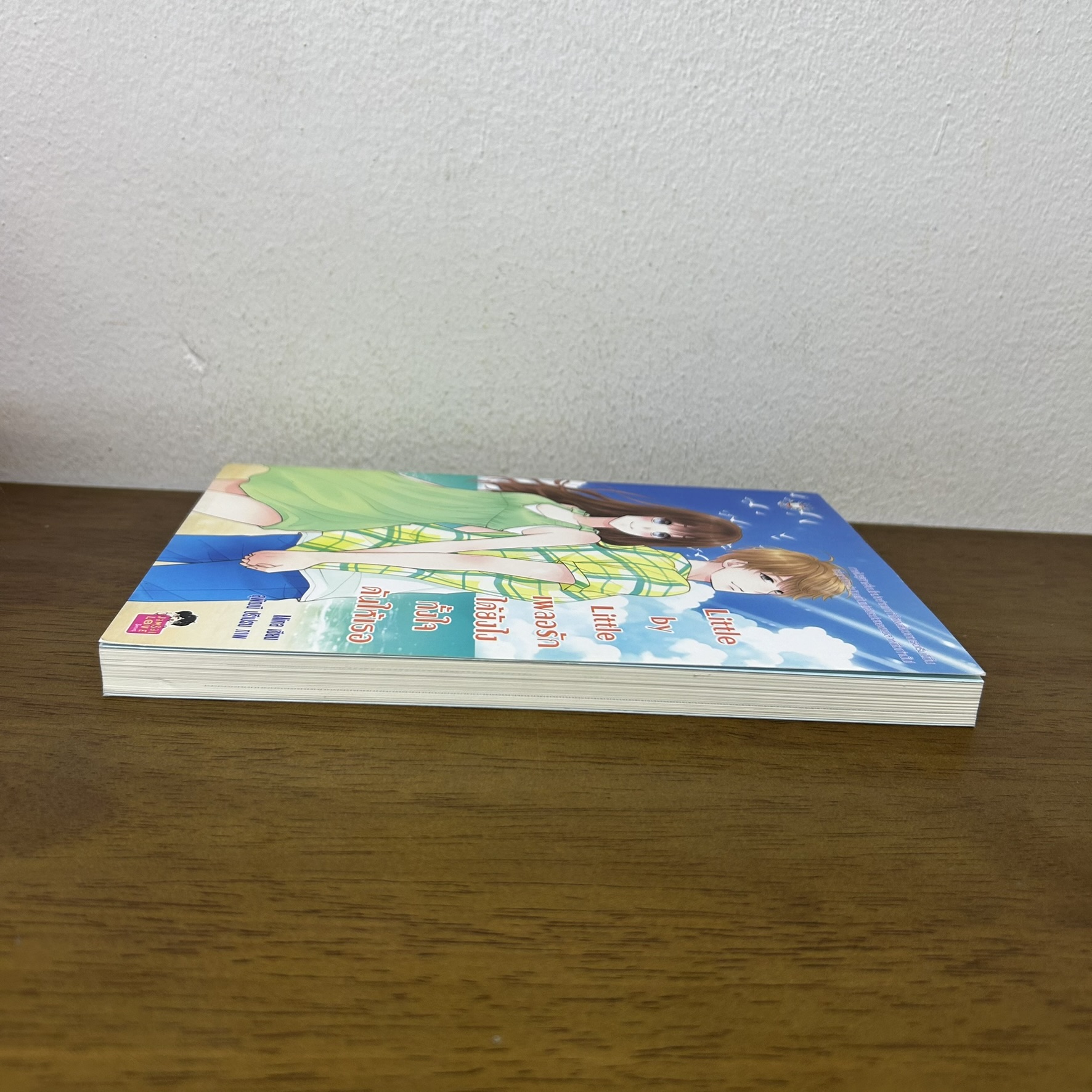 Little by Little เผลอรักได้ยังไง ทั้งใจดันให้เธอ ... Mina (มือสอง) นิยาย แจ่มใส เลิฟซีรีส์