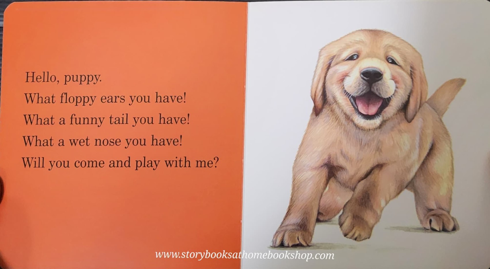 BOARD BOOK** 🍅🍓THE LITTLE HAMSTER