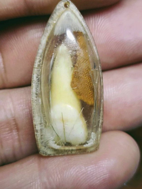 พระทันตธาตุ ครูบาปัญญา วัดนาคตหลวง อ.แม่ทะ จ.ลำปาง ได้มาจากคุณลุงประเสริฐ อายุ 82 ปี ท่านเคยเป็นครูสอนและย้ายโรงเรียนหลายที่ในจังหวัดลำปาง ท่านเป็นศิษย์ครูบาปัญญา ตั้งแต่ปี 2535 จนครูบาปัญญามรณะภาพ คุณลุงประเสริฐได้รับพระ่ทันตธาตุมาเมื่อปี 2537