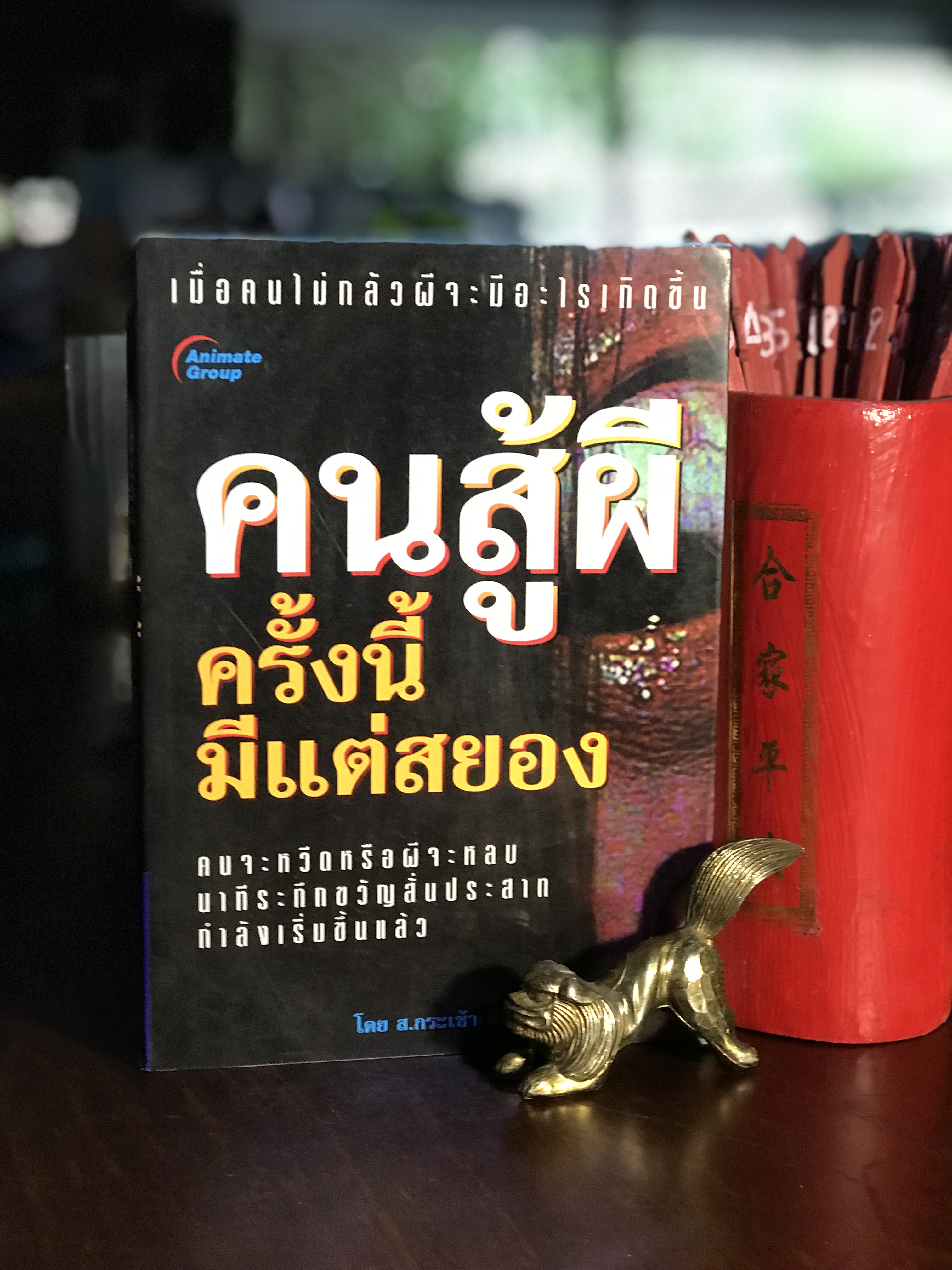 คนสู้ผี ครั้งนี้มีแต่สยอง โดย ส.กระเช้าเพ็ชร สำนักพิมพ์อนิเมทกรุ๊ป | H4