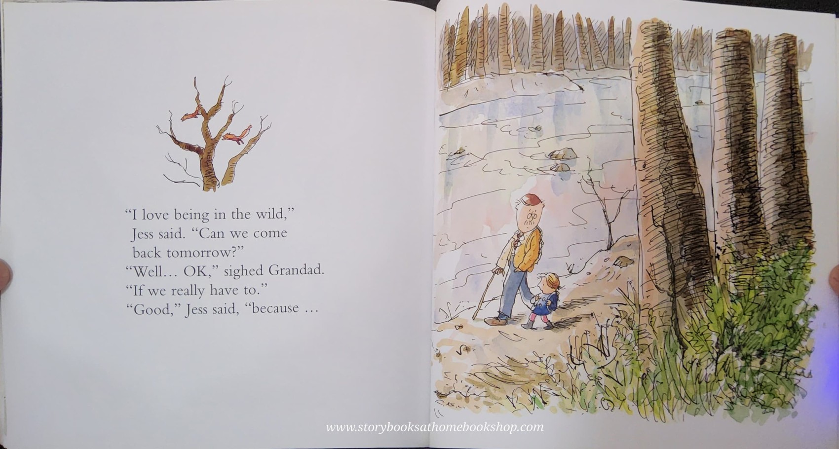 หนังสือนิทานปกอ่อน** 🍅🍅THE WILD WOODS BY SIMON JAMES