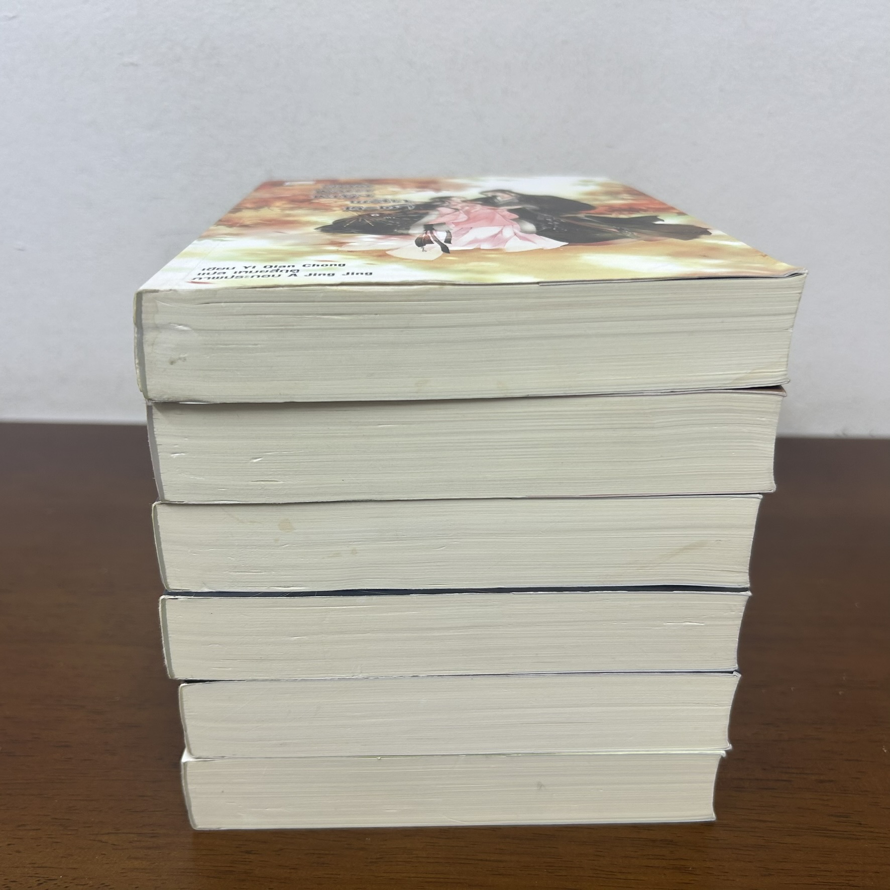 ยอดหมอหญิงพลิกชะตา เล่ม 1-6 จบ ครบชุด (มือสอง) ... Yi Qian Chong นิยาย แปลจีน Happy Banana