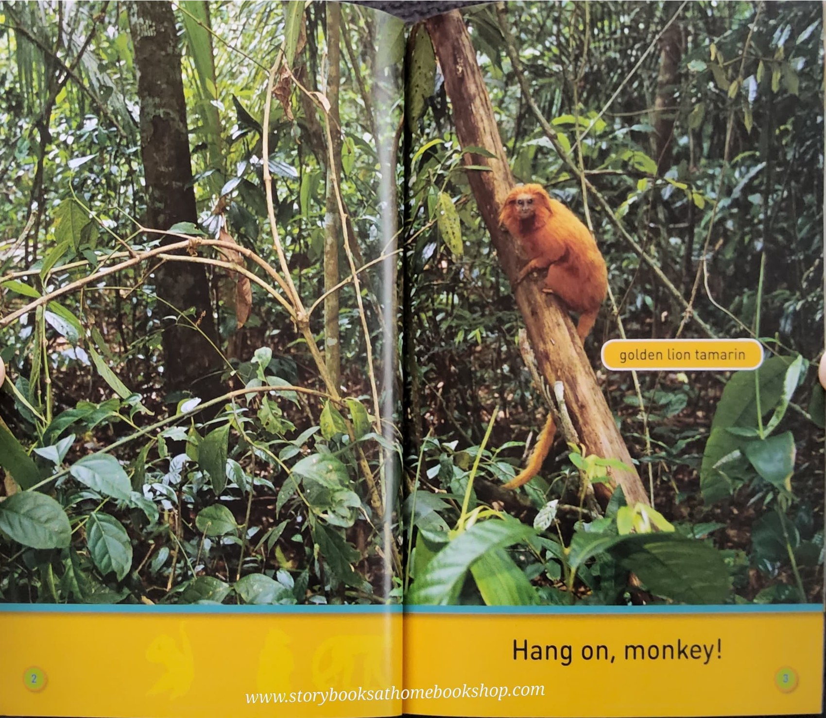Knowledge Book ** ððNATIONAL GEOGRAPHIC KIDS:HANG ON,MONKEY! LEVEL1