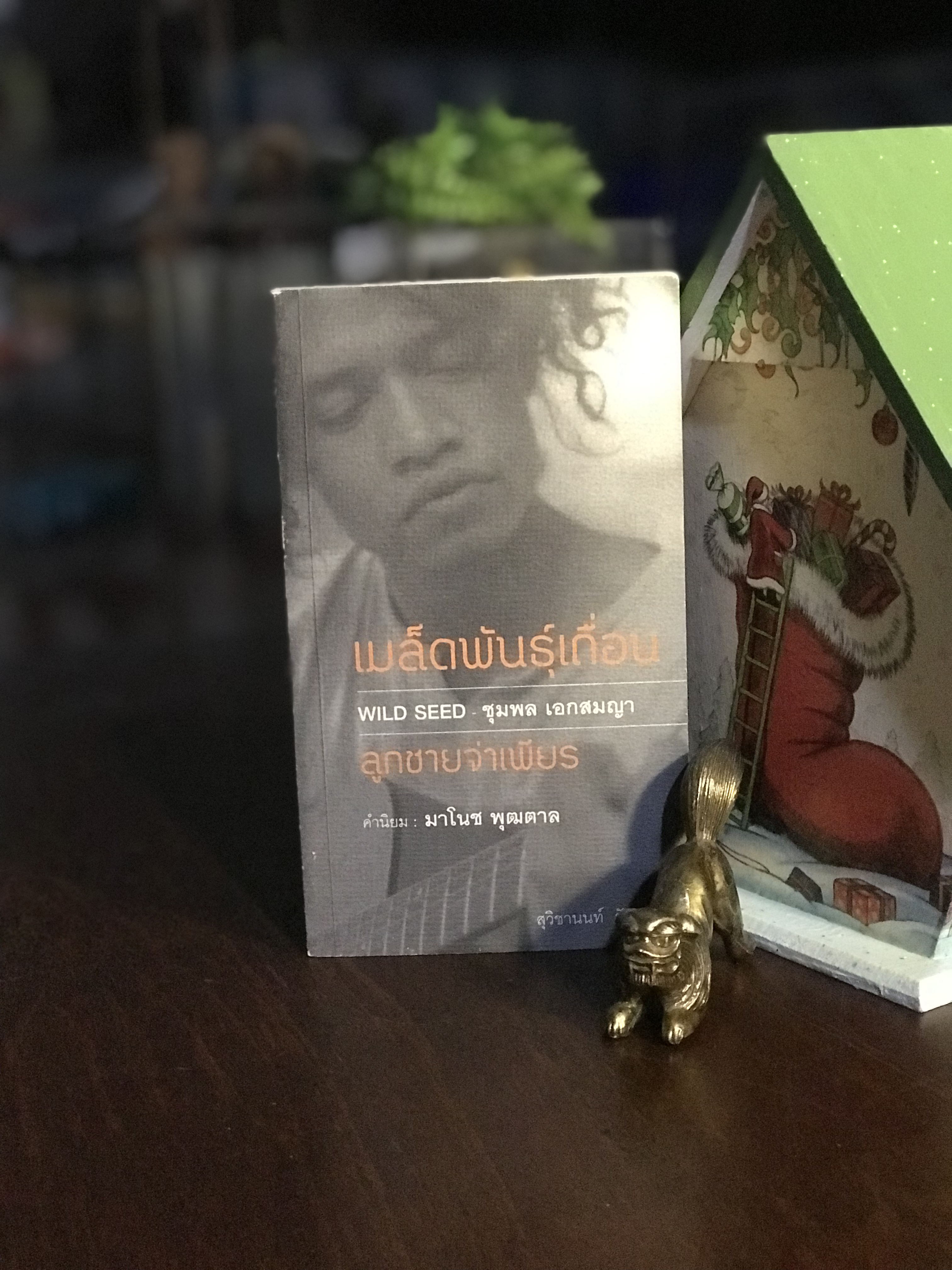 เมล็ดพันธุ์เถื่อน WILD SEED – ชุมพล เอกสมญา ผู้เขียน สุวิชานนท์ รัตนภิมล | WA2