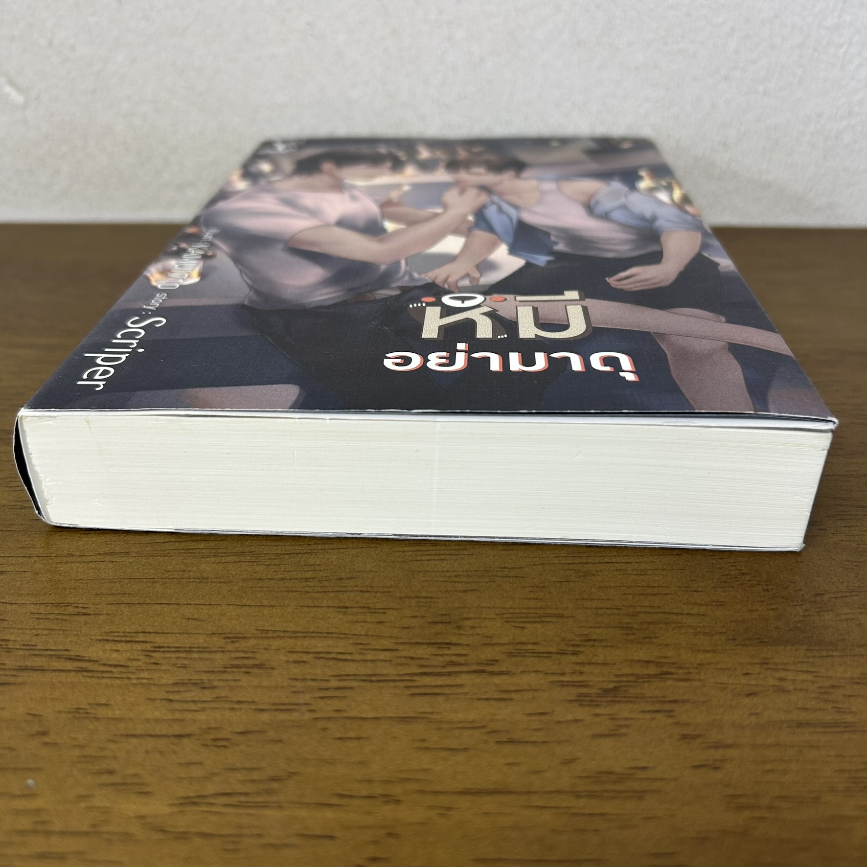 [YAOI] หมีอย่ามาดุ ... Scriper (มือสอง) นิยายวาย DEEP