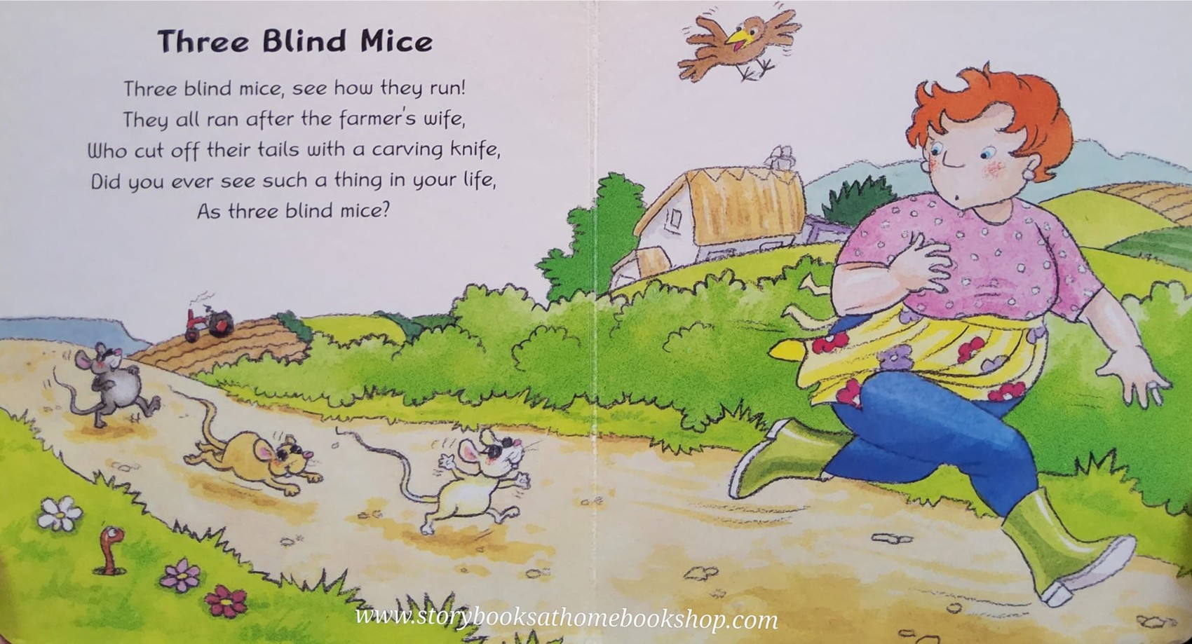 BOARD BOOK ** ð
THREE BLIND MICE