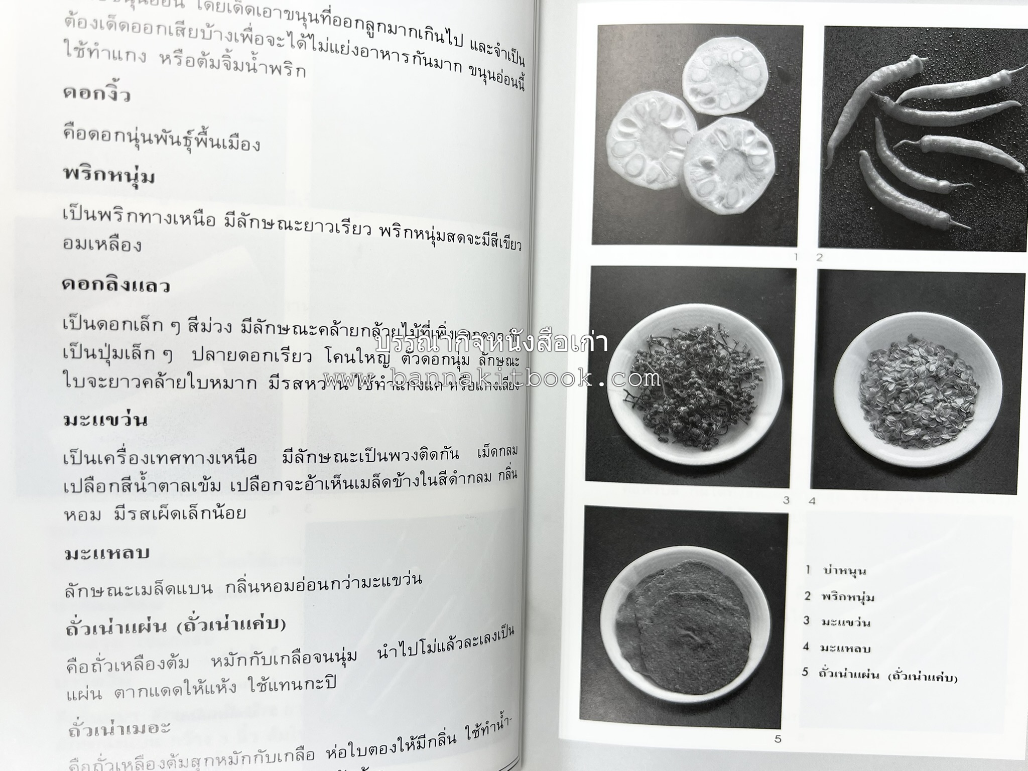 อาหารเหนือ โดย : อาจารย์ศรีสมร คงพันธุ์ (พิมพ์ครั้งแรก).