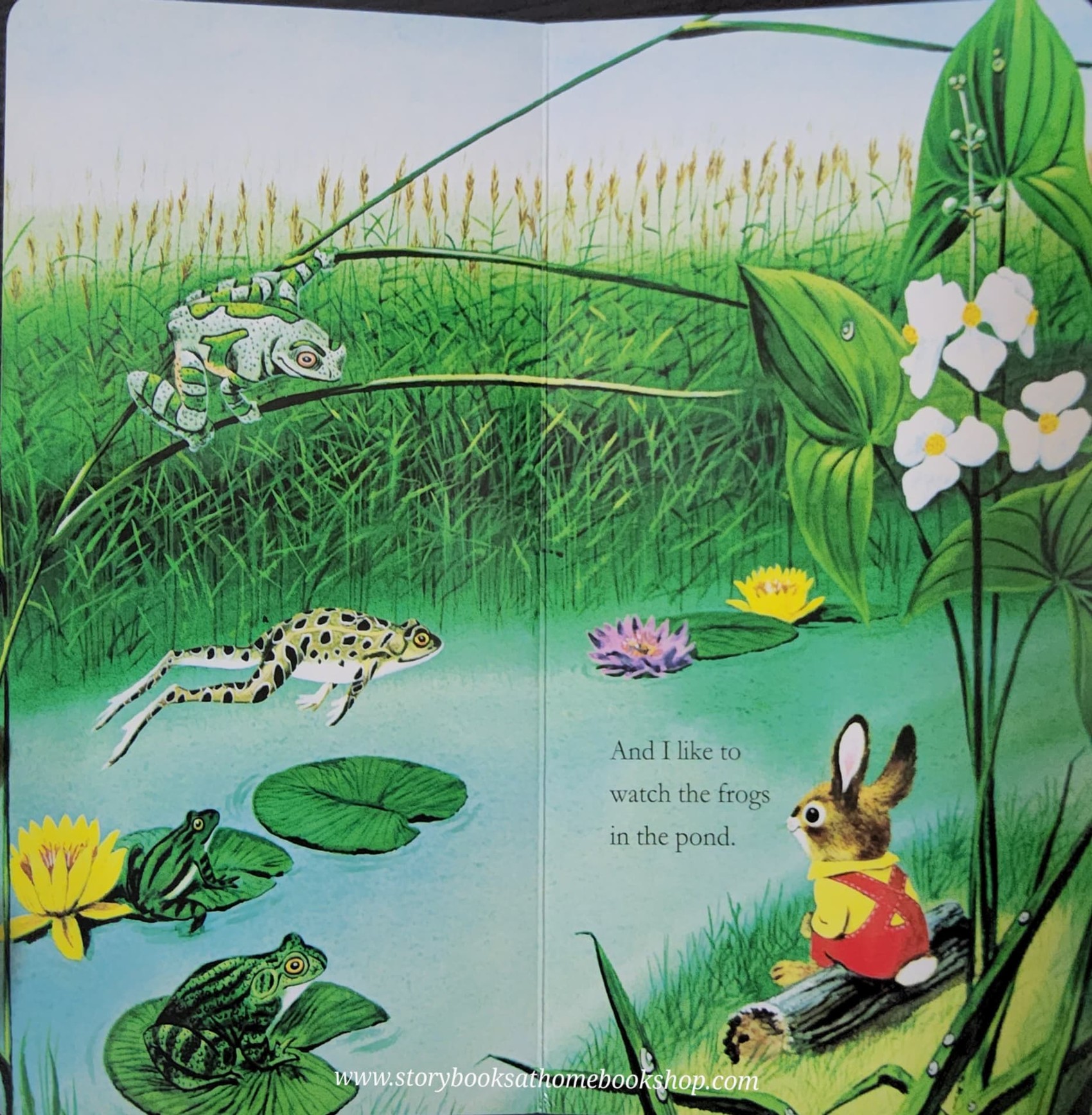 BOARD BOOK** ð
ð
RICHARD SCARRY'S I AM A BUNNY