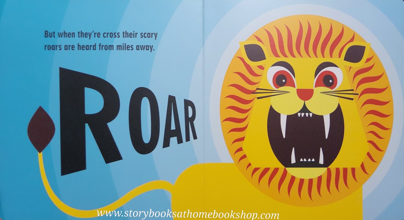 BOARD BOOK ** ð
THE SAFARI SETð