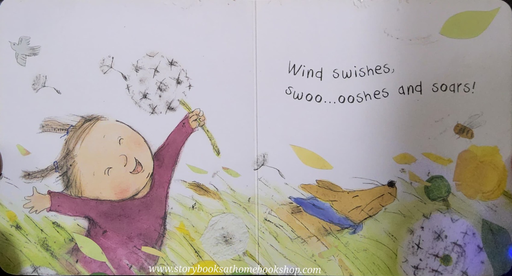 BOARD BOOK** 🍅🍅WIND