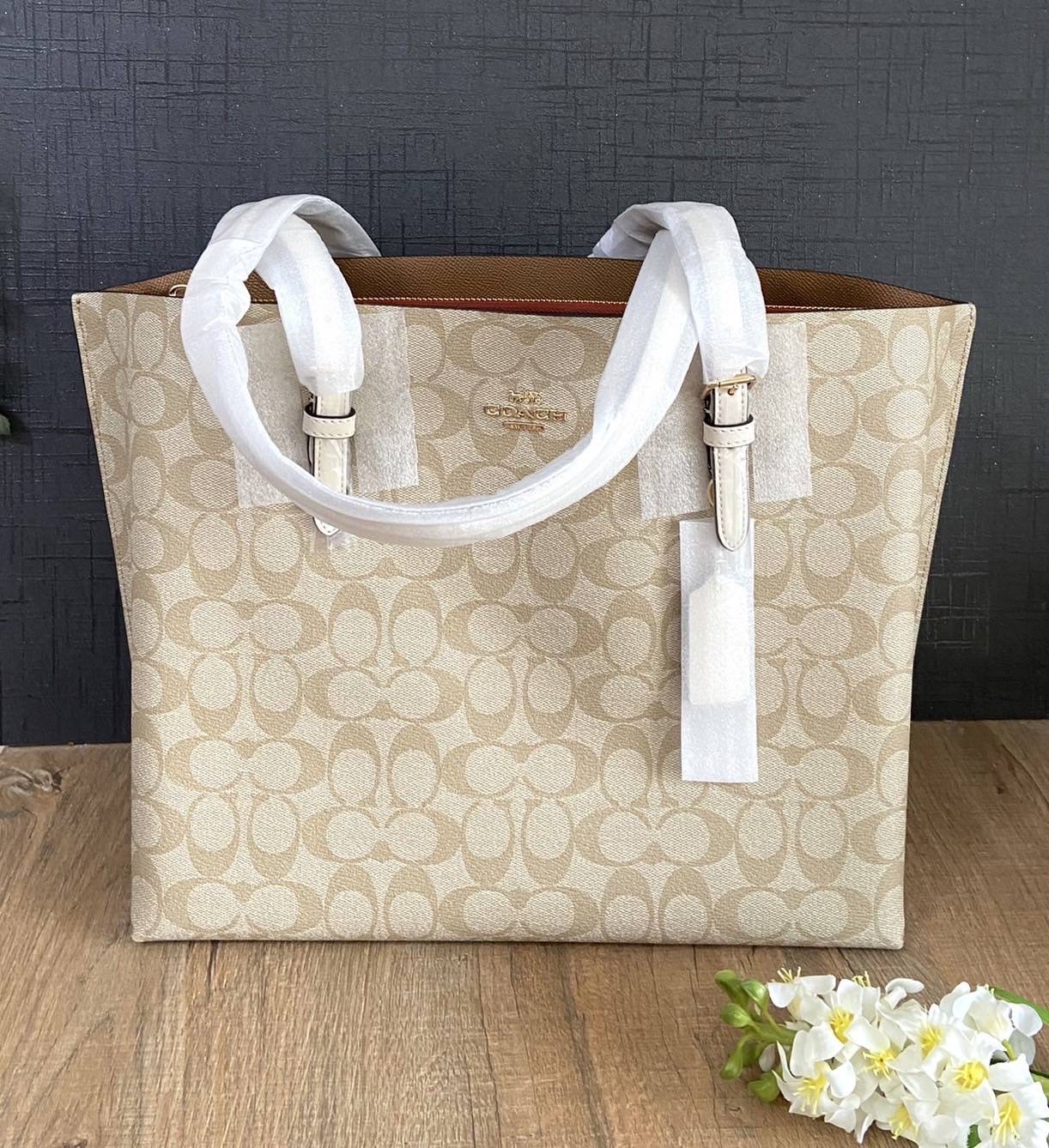 New Coach MOLLIE TOTE IN SIGNATURE CANVAS