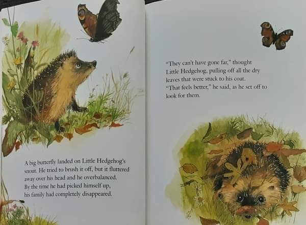 หนังสือนิทานปกอ่อน** 🍅🍓THE PRICKLY HEDGEHOG