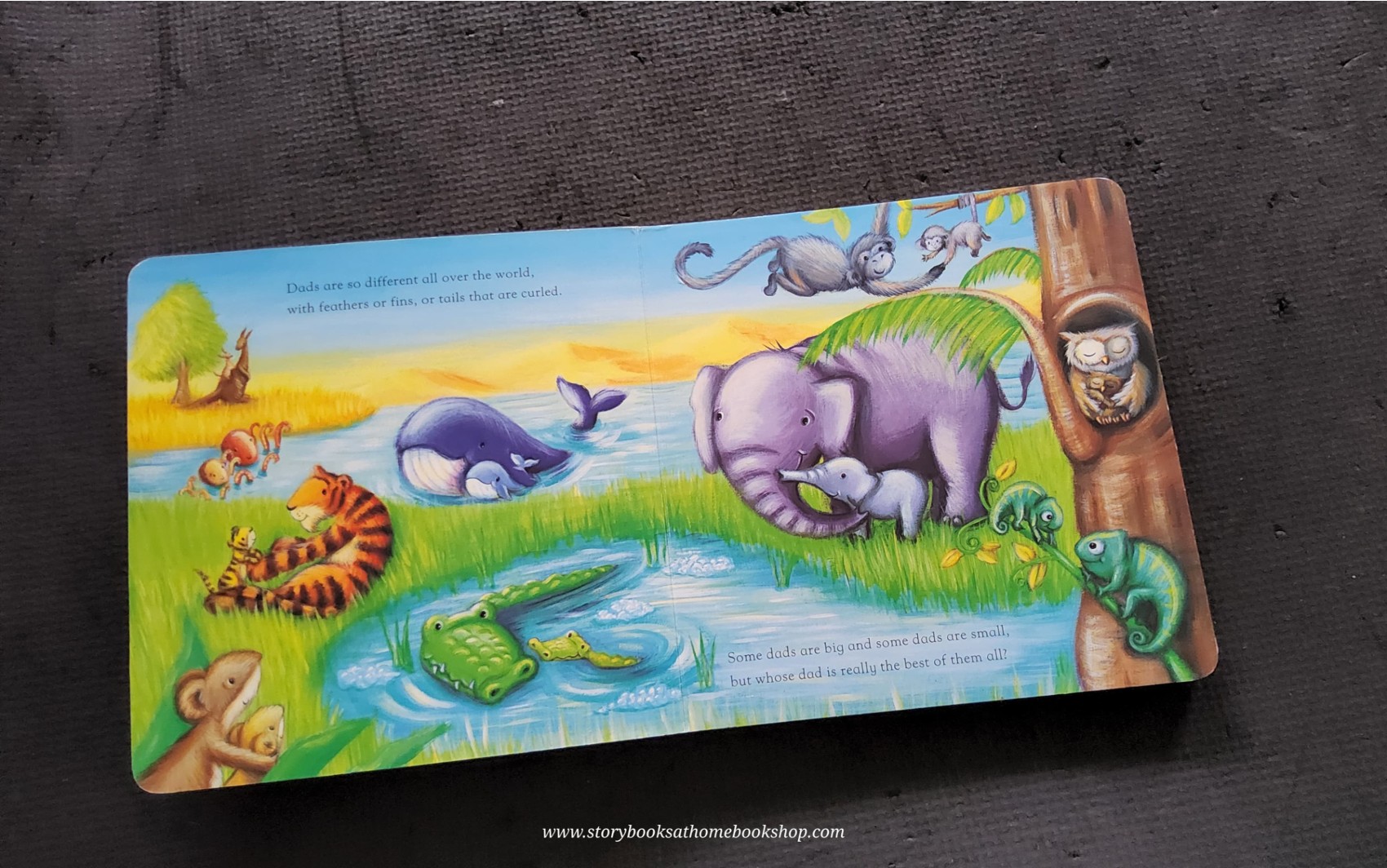 Board Book ** 🍅🍓MY DADDY