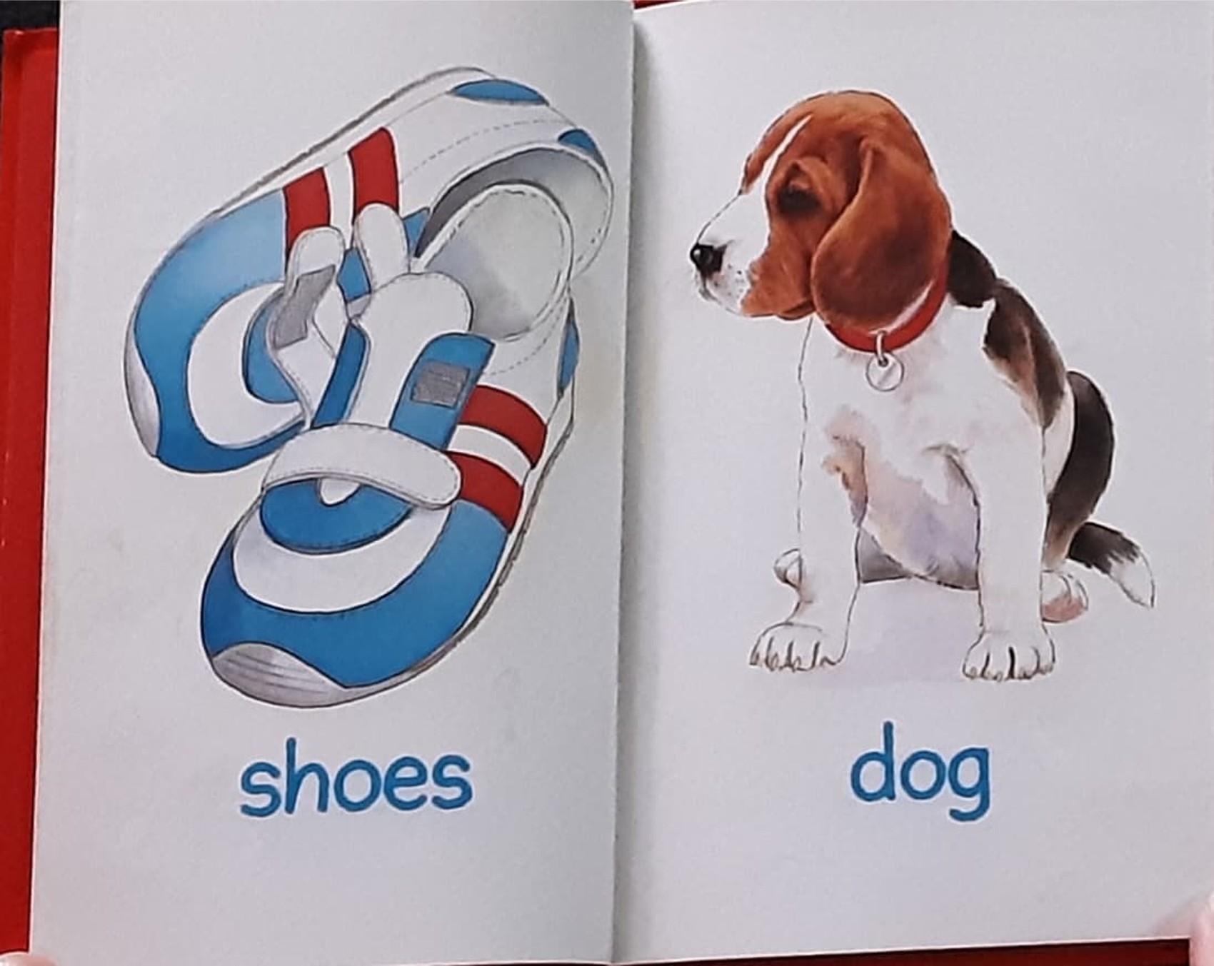 หนังสือนิทานปกแข็ง** 🍓🍓 Baby's Red Picture Book