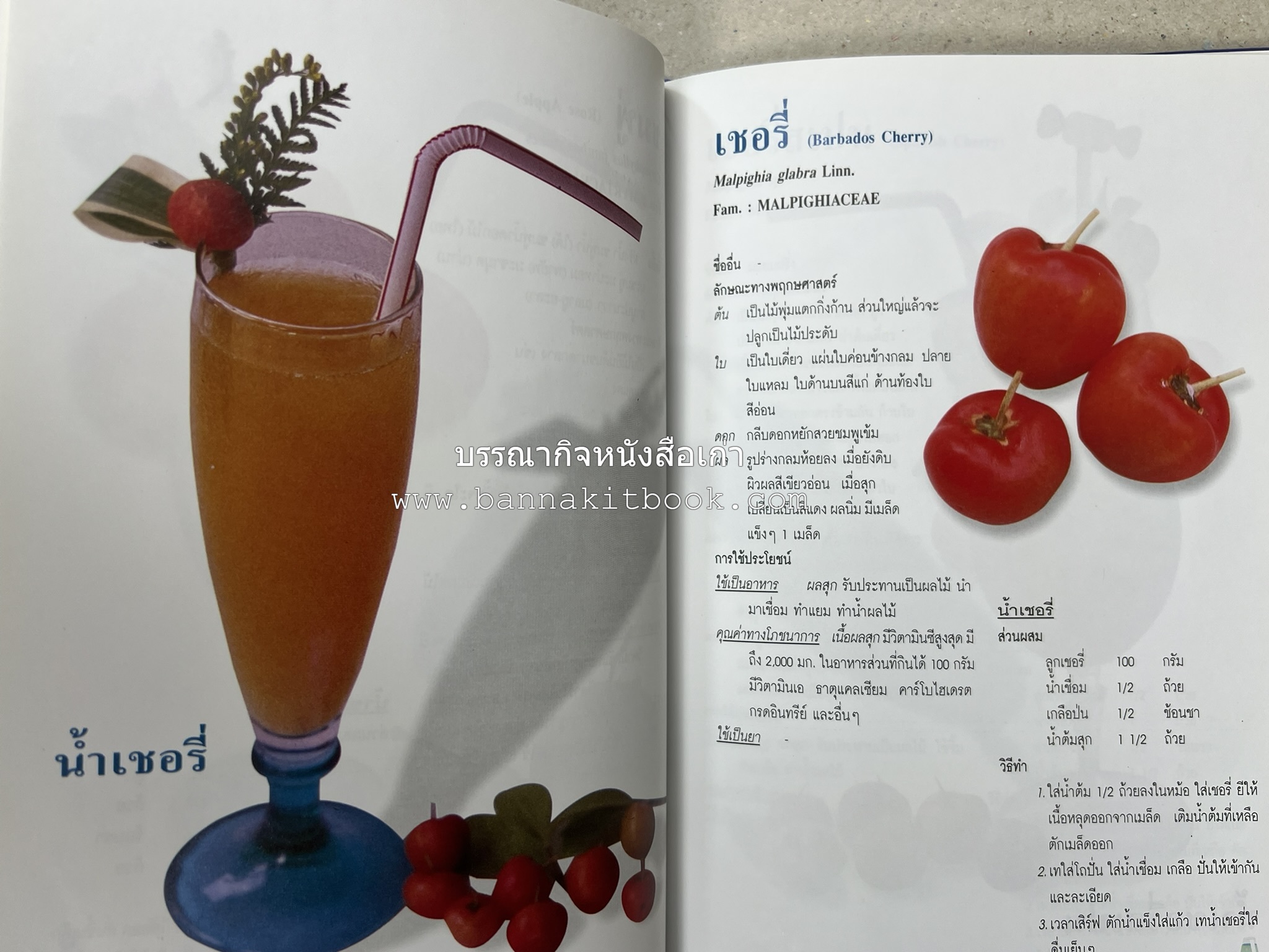 น้ำสมุนไพร 108 สูตร-วิธีทำจากผักพื้นบ้านและผลไม้ไทย โดย สถาบันการแพทย์แผนไทย.