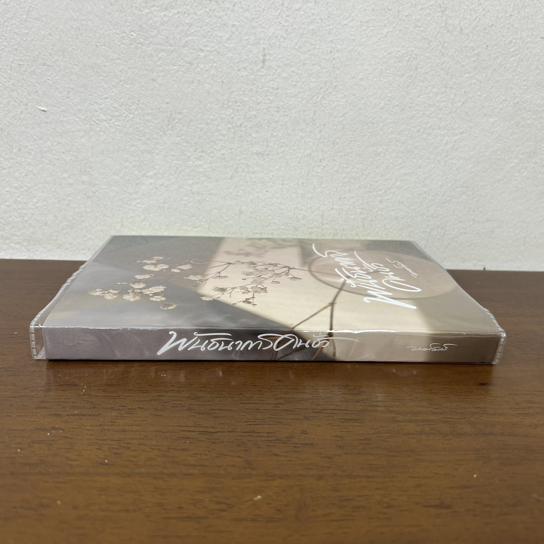 พันธนาการคนชั่ว ... มนต์จันทร์ (มือสอง) นิยาย โรมานซ์ ทำมือ