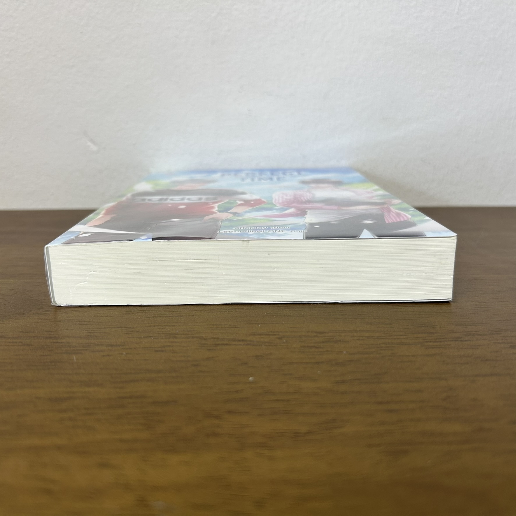 [YAOI] Perfect Time หนังสือเล่มที่อ่านจบไปแล้ว ... afterday (มือสอง) นิยายวาย everY