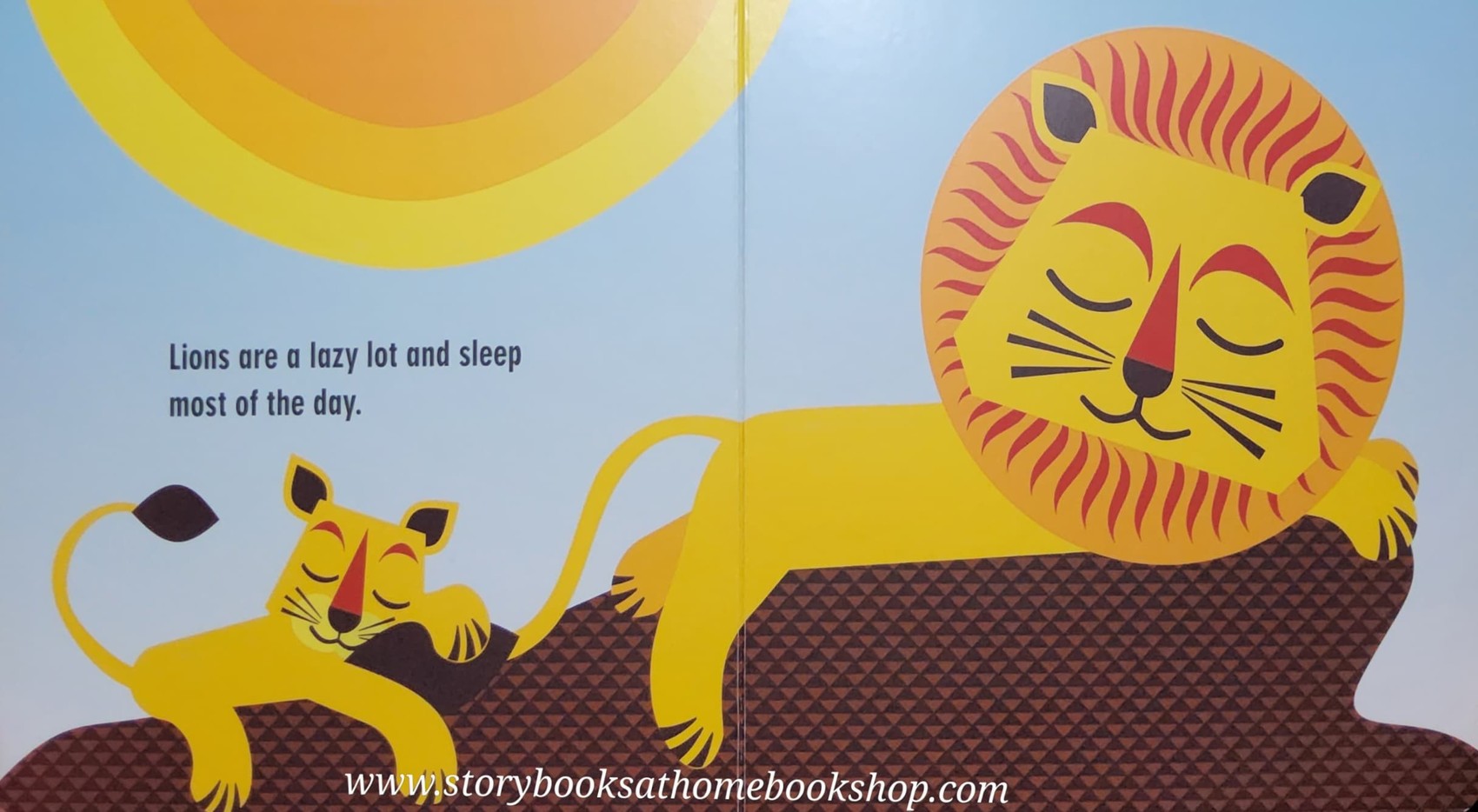 BOARD BOOK ** ð
THE SAFARI SETð