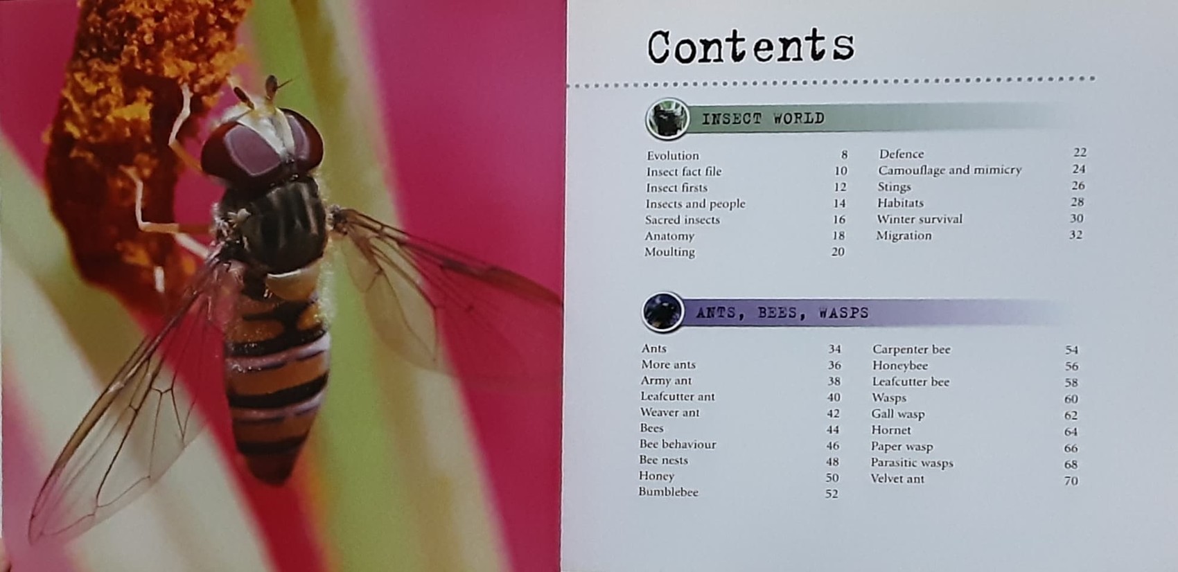 KNOWLEDGE BOOK 🍓🍓 INSECTS 1000 FACTS