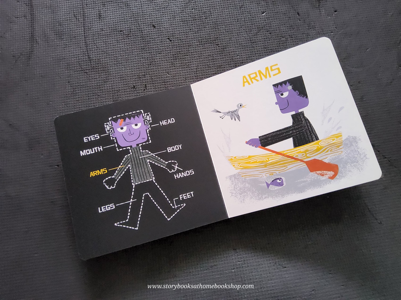 BOARD BOOK ** ♥️♥️AN ANATOMY PRIMER FRANKENSTEIN