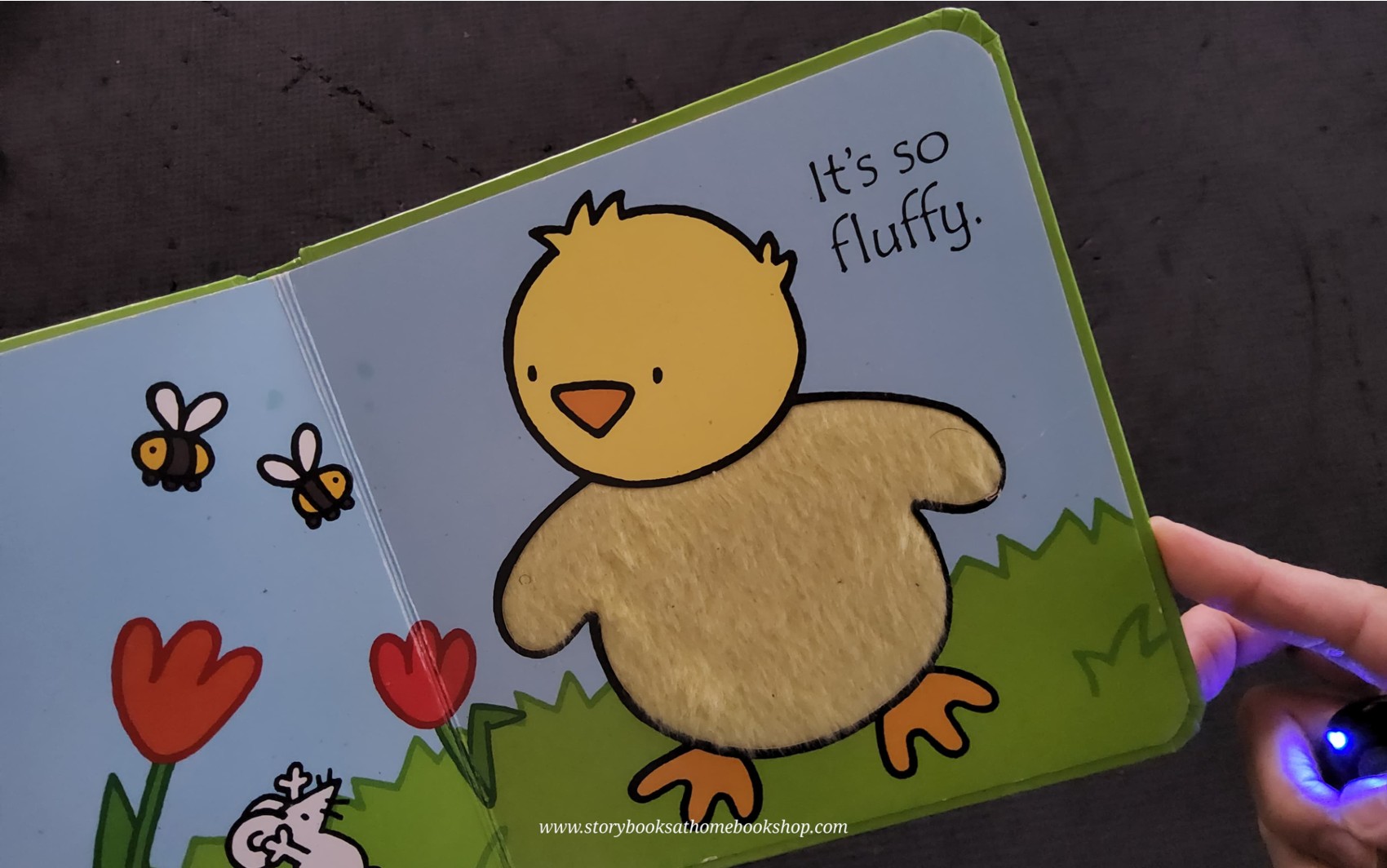 Touch and Feel Board Book** 🍅🍓That's not my CHICK...