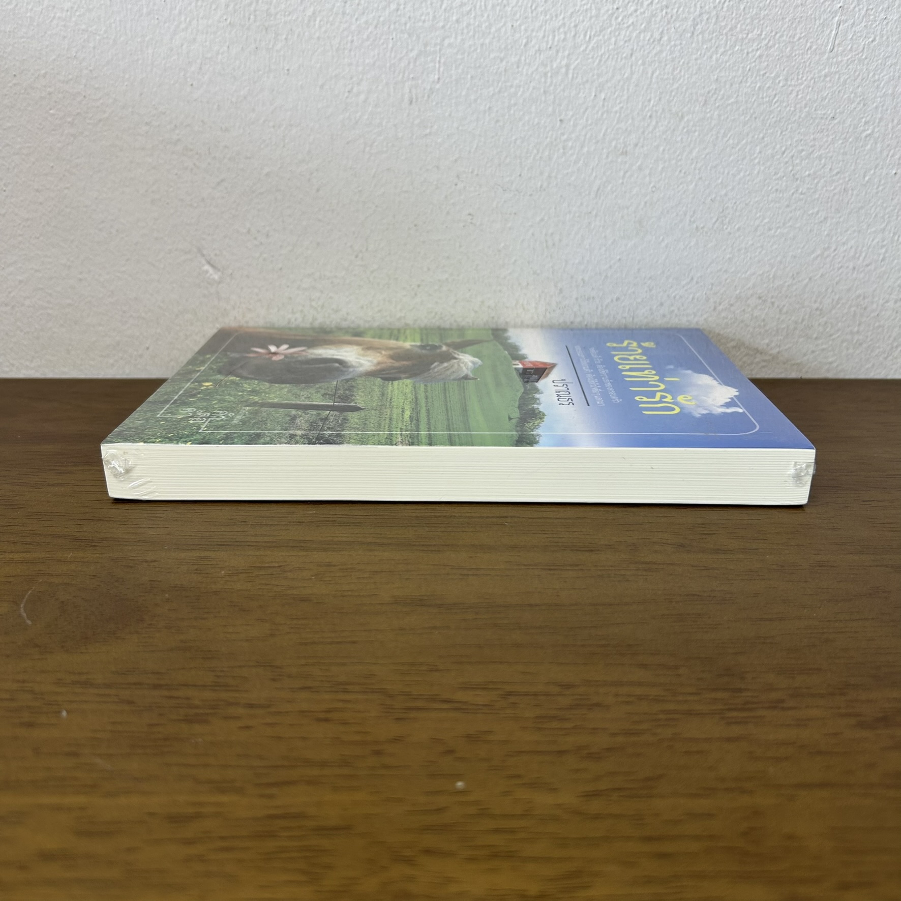 ร้ายเท่ารัก ... ปราณธร (มือสอง) นิยาย โรแมนติก ทำมือ