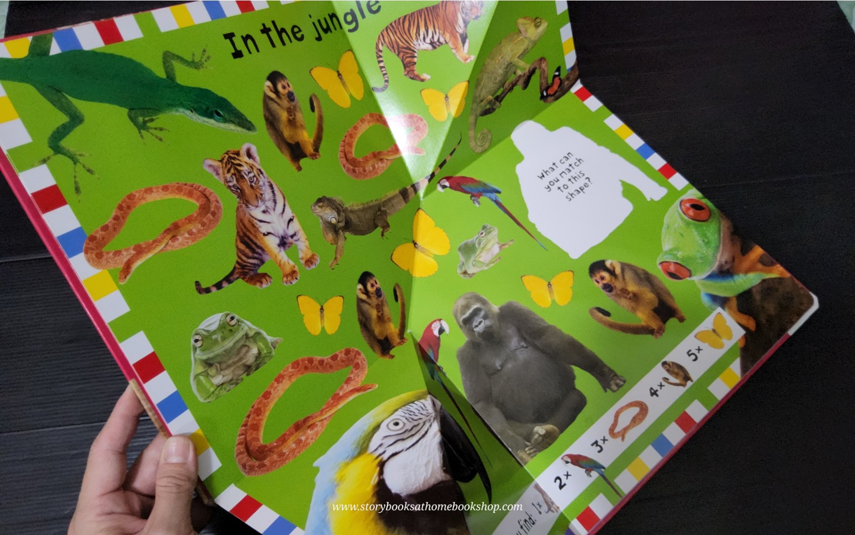 FOLD OUT BOOK ** 🍅🍓A FOLD OUT BOOK AT THE ZOO