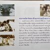 84 เมนูน้ำพริก ผัก รักษ์สุขภาพ และกินตามแม่ (2 เล่มชุด).