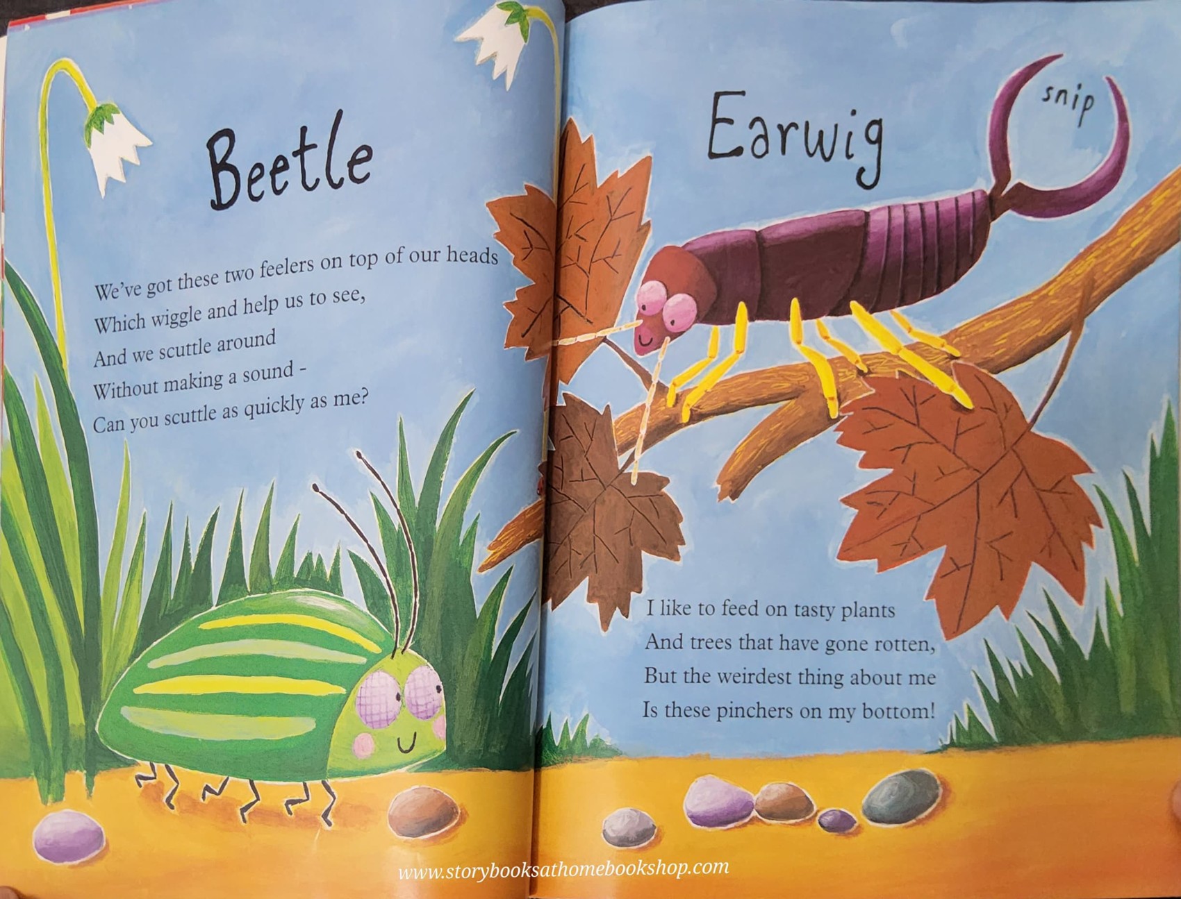 หนังสือนิทานปกอ่อน** 🍅🍅MAD ABOUT MINIBEASTS!