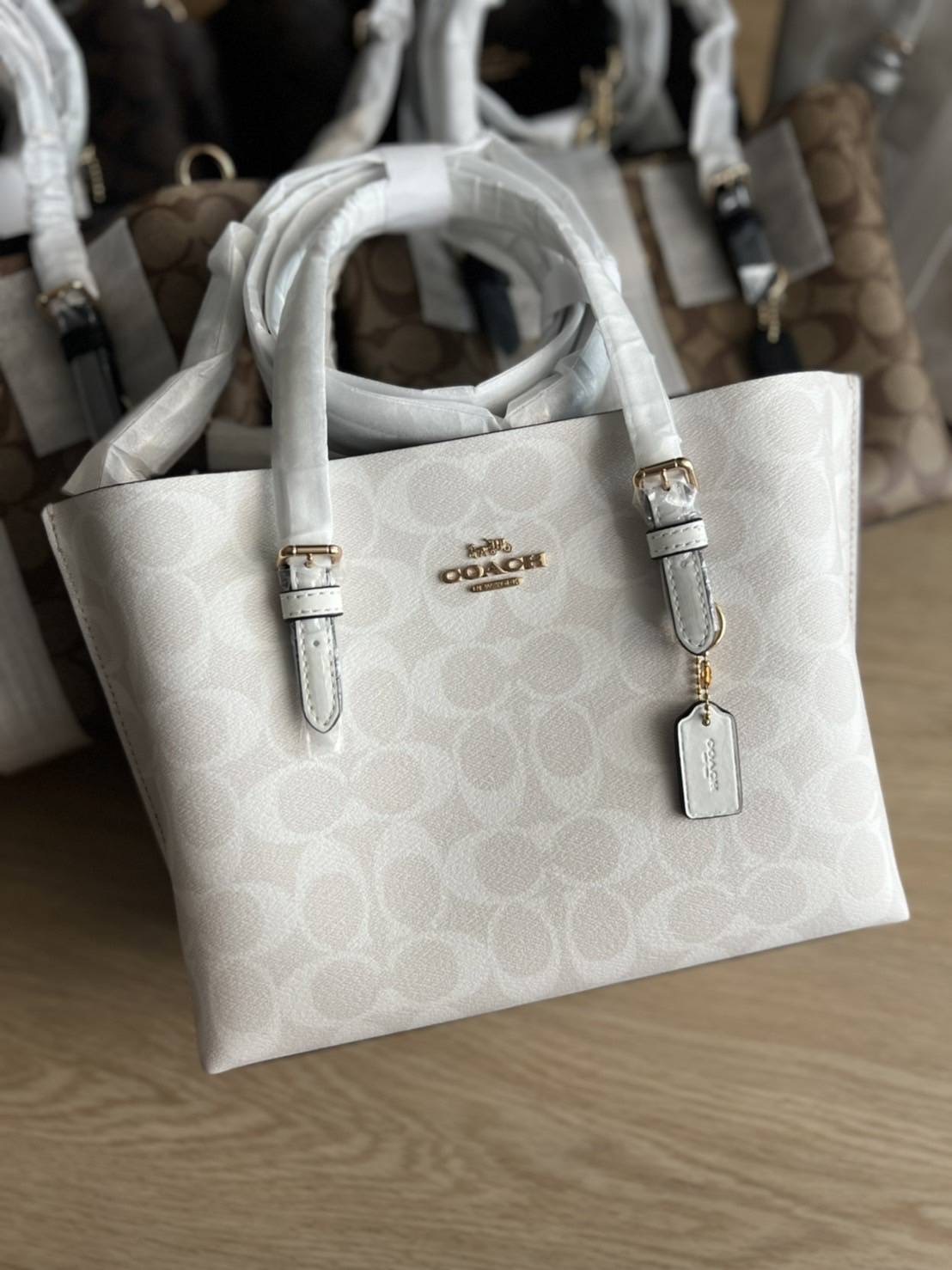 New Coach MOLLIE TOTE 25 IN SIGNATURE CANVAS